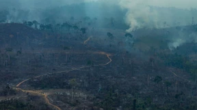 G-7-Gipfel einigt sich auf Hilfe für Amazonas-Brandgebiete