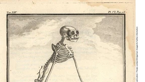 Kant war ein Anti-Rassist