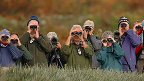 Sturm auf den Elfenbeinturm