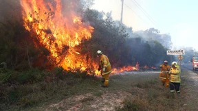 Hunderte Menschen fliehen vor Buschbränden