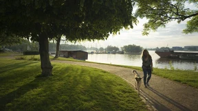 Vor der Verschönerung erst einmal ein Schock