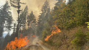 Wie wissen wir, wo morgen die Welt brennt?