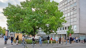 Ohne Nervenschäden ins Bürgeramt