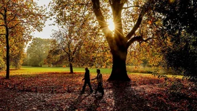 Waldspaziergang mit leckeren Snacks