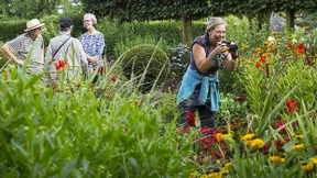 Auf Tour durch fremde Beete