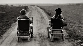 Die Befreiung der Menschheit durch das organisierte Gebrechen