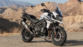 Der König der Tiger