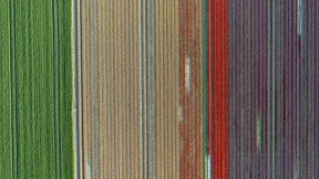 Der Asteroid heißt jetzt Mensch