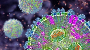 Im Kleinsten ganz groß