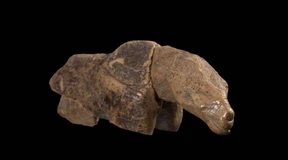 Noch ein Problemlöwe