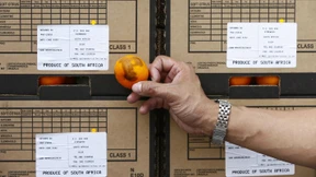 Orangenstreit zwischen Europa und Südafrika