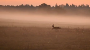 „Die Kosten der Untätigkeit sind weitaus höher“