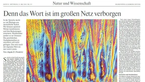 Hirnforschung, was kannst du?