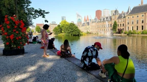 Ringen um die Mitte in den Niederlanden