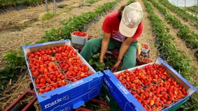 Angriff auf den Mindestlohn