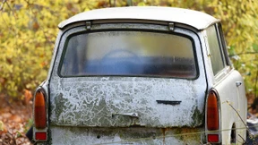 „Ich finde diese ostdeutsche Wehleidigkeit zum Kotzen“