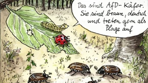 Die AfD legt sich den Islam zurecht, wie sie ihn braucht