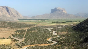 Erblühende Landschaften