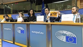 Qatars langer Arm im EU-Parlament