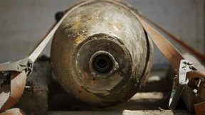 Mücke, Elefant, Tiger