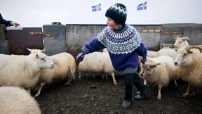 Von Hvammstangi bis Laugarbakki