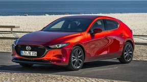 Diesel, Otto und Diesotto