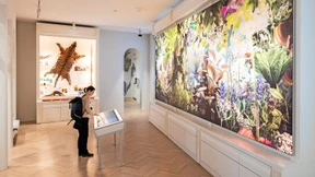 Schwangerschaftstest per Krallenfrosch