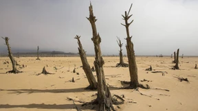 Internationale Klima-Kommission nimmt Arbeit auf