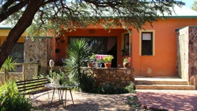 Lebensabend mit Sonne und Curry-Wurst