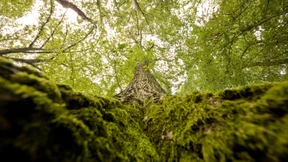 Bis 2030 auf dem Weg zur intakten Natur? Nicht in diesem Tempo