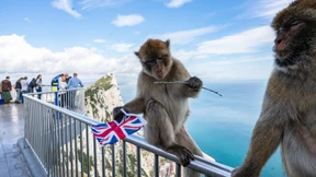 Gibraltar erwägt Beitritt zum Schengen-Raum