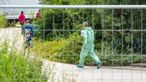 Bayern kündigt weitere Reihentests bei Erntehelfern an