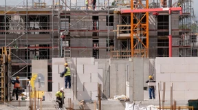 Graue Energie, grüne Klientel