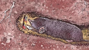 Rechtsextremismus aus der Tiefe des sozialistischen Raums