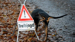 Staatsjagd im Fadenkreuz 