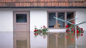 Kommt jetzt die Pflichtversicherung?