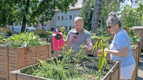 Grüne Zelle in der Altstadt