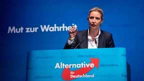 Weidel und die drei vom Bundestag