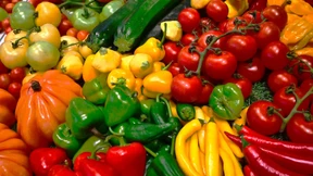 Landwirtschaftsmesse  mit Aussteller-Rekord