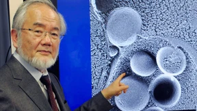 Innerlich verfressen 