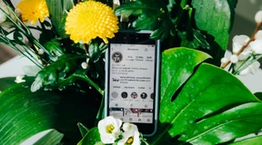 Bloß nicht zu differenziert