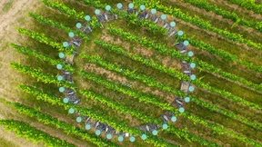 „Die Wasserknappheit wird das größte Problem sein“