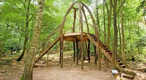 Waldkunstpfad wird eingescannt