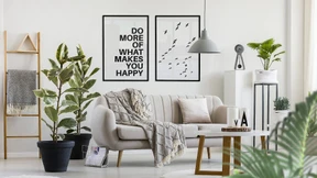 Schlaues für die Wand