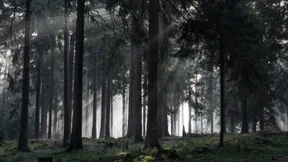 Lohn für hessische Pionierarbeit in der Klimaforschung