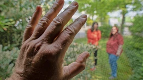 Tobi und die Mücken