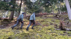 „Der Fang von Bärin JJ4 sorgt nun für Sicherheit in dem Gebiet“