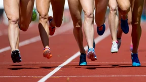 Die haben einen Lauf