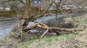 Dreijähriger stirbt nach Sturz in Fluss bei Kita-Ausflug