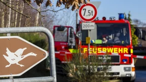 Knapp 13.000 Tiere in Bayern getötet 